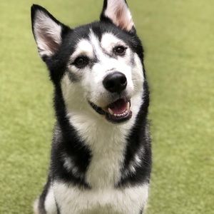 Meet your Posher, Eunice